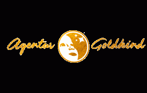 Künstler Entertainer Marketing Goldkind Logo Hannover